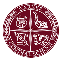 BCS Logo